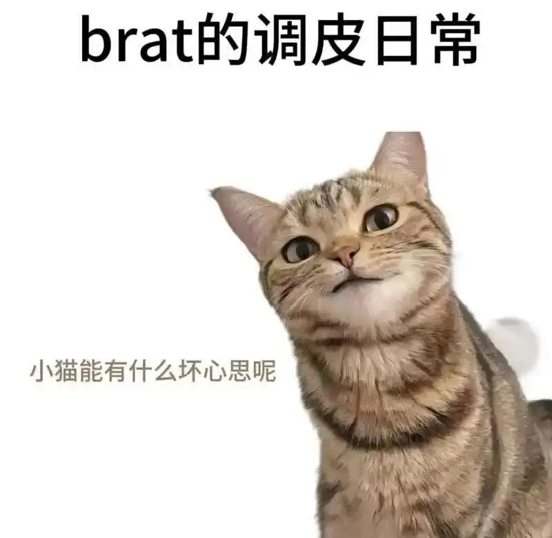 Spank - 微信图片_20251203212836_109_19