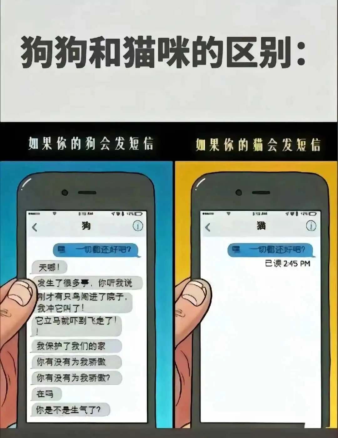 西檬之家-字母圈的PE是什么意思？