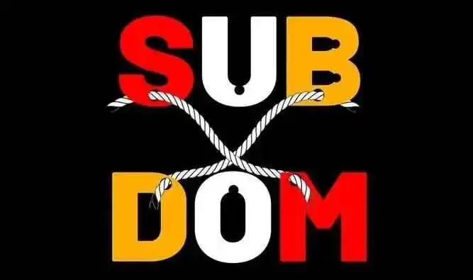 brat属性 - 2023_11_09_15_11_IMG_8925