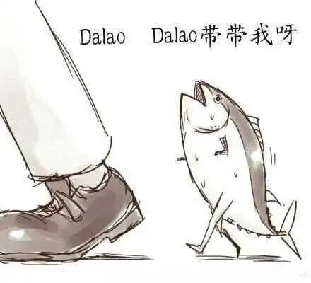Dom：实用指南