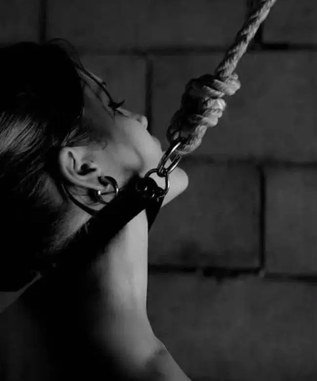 管教 - 微信图片_20251203212920_111_19