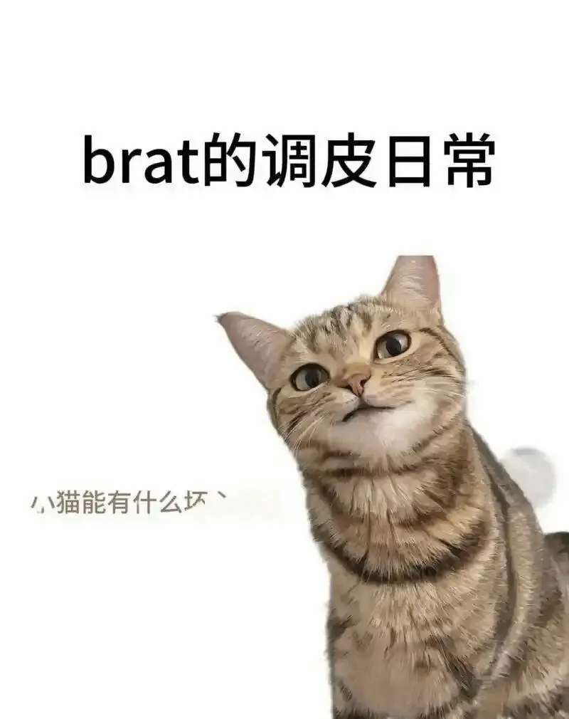 西檬之家-斯慕圈入门指南