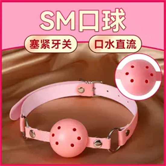 DS关系 - 16881