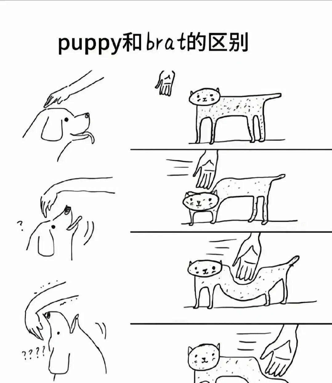 S：实用指南