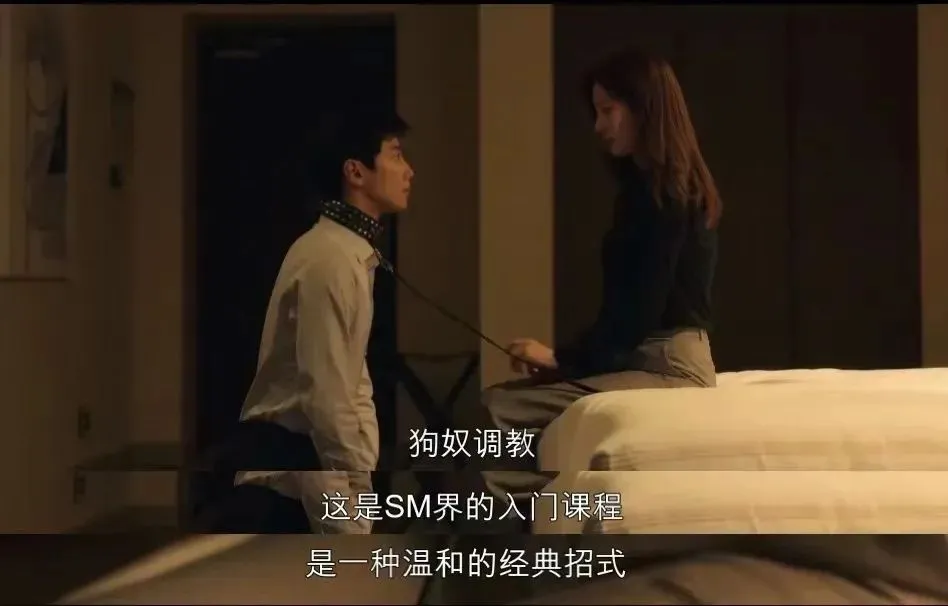 西檬之家-新手速查：BDSM亚文化关键词与SSC原则指南