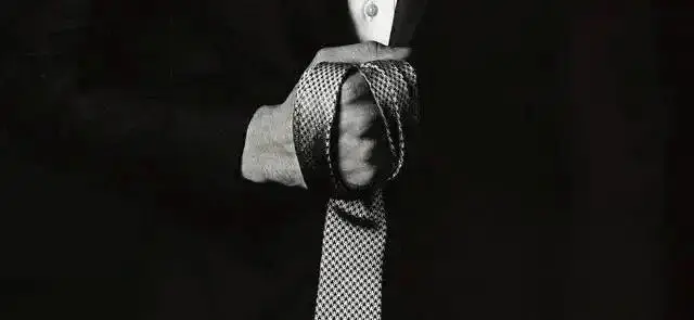 西檬之家-BDSM指南：从SSC原则到TK互动的科学认知